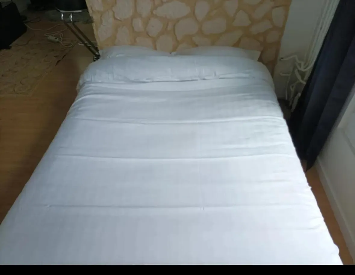 Apartment Agreable Appartementbuttes-Chaumont Paris